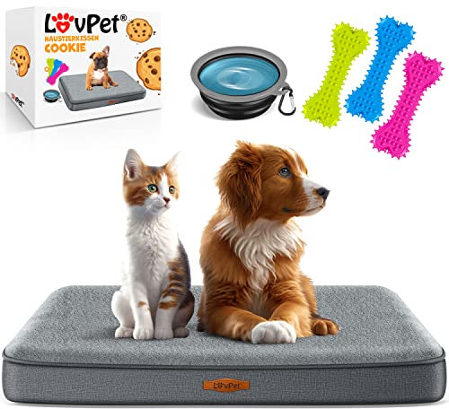 Lovpet® Hundebett orthopädisches Hundekissen Hundekorb Cookie, Inkl. Napf + 3X Kauknochen, Hundesofa für Kleine, Mittelgroße & Große Hunde, Bezug abnehmbar und waschbar, M 76x51x7,6 cm Anthrazit