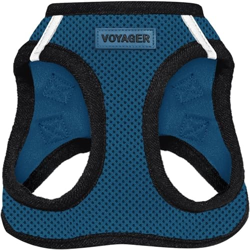 Best Pet Supplies Voyager Step-In Air Hundegeschirr – Allwetter-Mesh-Geschirr für kleine und mittelgroße Hunde – Blaue Basis, XS