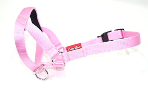 Hundehalfter/Trainings-Halsband, Auswahl an Farben