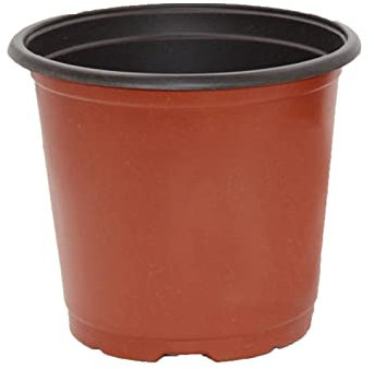 Psytfei Pot de semis de Plantes en Plastique Pot de pépinière de Plantes en Plastique épaissi pour Balcon de Jardin 2 Pot de semis de Couleur conteneur de Plantes de Fleurs(90mmCaliber)