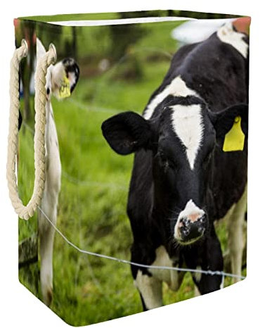 Cesta grande para la ropa sucia con asa duradera, becerro, vacas lecheras, pasto verde, cesta de almacenamiento de ropa sucia para dormitorio, baño, dormitorio universitario