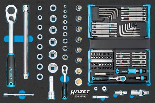 HAZET Steckschlüssel Satz 163-625/113, 113-teilig, mit 1/4 und 1/2 Zoll Umschaltknarren, Steckschlüsseleinsätzen, Bits, Winkelschraubendrehern und Verlängerungen
