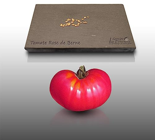 25 graines à semer - Le Grenier d'Abondance - TOMATE Rose de Berne - Solanum lycopersicum