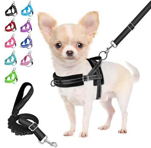 Eyein Hundegeschirr mit Leine für mittelgroße Kleine Hunde, Weich gepolsterter No-Pull Brustgeschirr mit 2 Leinenclips, Leichtgewicht Reflektierend Geschirr Hals und Brust verstellbar (Schwarz, XXS)