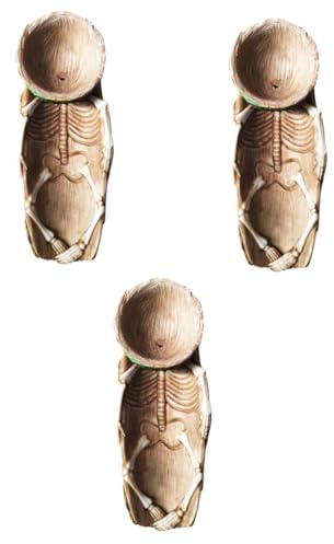 CLISPEED 3 Piezas de con Diseño Esqueleto para Suculentas y Cactus Decoración de Escritorio para y Oficina Maceta Pequeña para Plantas de Interior