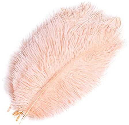 HQdeal 10 st naturliga strutsfjädrar, 20 cm-25 cm/7,87 tum–10 tum, gör-det-själv plym fjäder för hem, bröllop, fest, bordsdekoration (champagne)