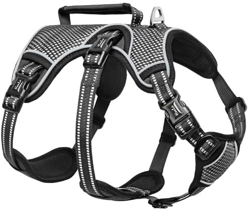 HEELE Hundegeschirr, Ausbruchsicher, Schnalle im Halsbereich, Reflektierend, Brustgeschirr mit Robuster Griff, Panikgeschirr Hund, Hundegeschirr Stabilen Eindruck, Passt wie Angegossen, Schwarz, XL