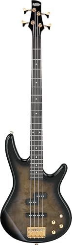 Ibanez Gio GSR200PC 4-String Right-Handed Electric Bass Guitar with Okoume Body, Maple Neck, and Purpleheart Fretboard (Transparent Pale Black Burst)