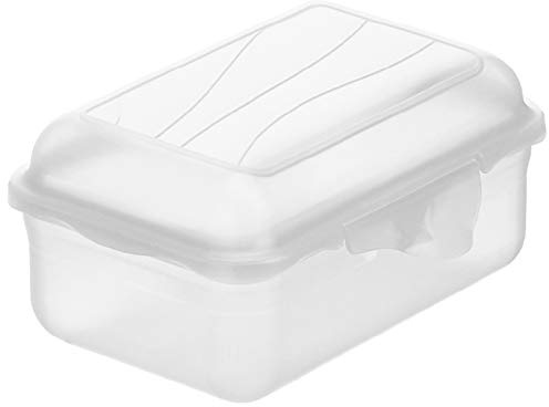 Rotho Fun Vesperdose 0.4l mit Klickverschluss, Kunststoff (PP) BPA-frei, transparent, 0.4l (12.5 x 9.0 x 5.8 cm)