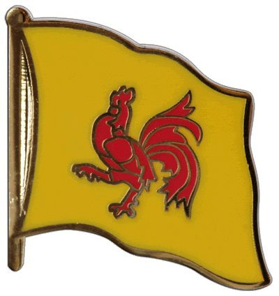 Pin's Drapeau Belgique Wallonie Plaqué Or
