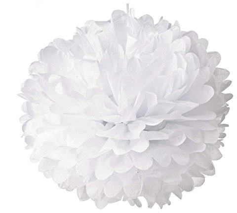 10pcs White Tissue Hanging Paper Pom-poms, Hmxpls Flower Ball Wedding Party Outdoor Decoration Premium Tissue Paper Pom Pom Flowers Craft Kit