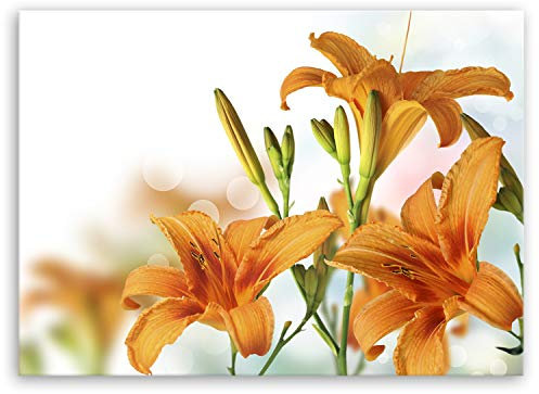 ge Bildet Bild auf Leinwand | Orchidee in 40x30 cm als Wandbild | Wand-deko Dekoration Wohnung modern Bilder | 1299