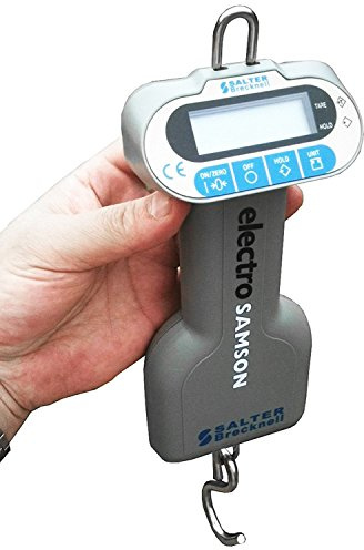 Salter Brecknell ElectroSamson Digitale Handwaage (10 kg)