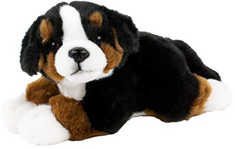 Teddys Rothenburg Kuscheltier Berner Sennenhund 25 cm schwarz/braun/weiß liegend Plüschhund