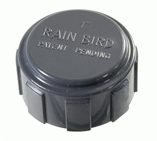 PVC-Verschraubung/Verteiler Rain Bird Kappe 1 Innengewinde
