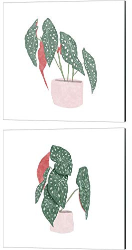 Polka Dot Begonia by Bannarot, 2 Piece Canvas Art Set, 10 X 10 Inches Each, Floral Art