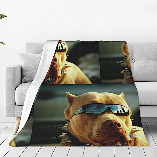 Hunde-Waschlappen-Decke, superweicher Bezug für Sofa, Bett, Reisen, Zimmer, warm, alle Jahreszeiten, 203 x 152 x 76 cm
