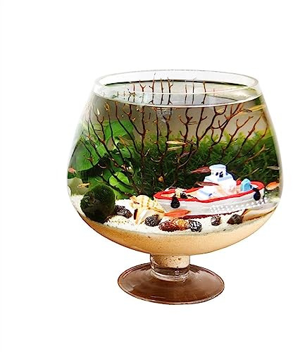 Aquariums décoratifs Aquarium en Forme de gobelet for, Bouteille écologique Bureau, Petit, Eau Verre Transparent for Animaux Compagnie pour Le Bureau(Moyen)