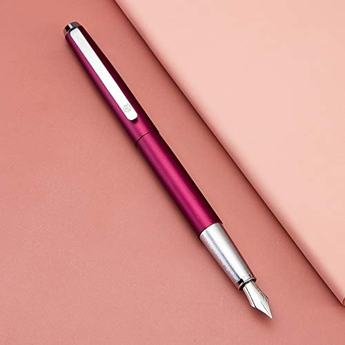 HongDian 525 Füllfederhalter aus Metall, extra feine Feder, klassischer Stift inklusive Metallstiftetui und nachfüllbarem Konverter