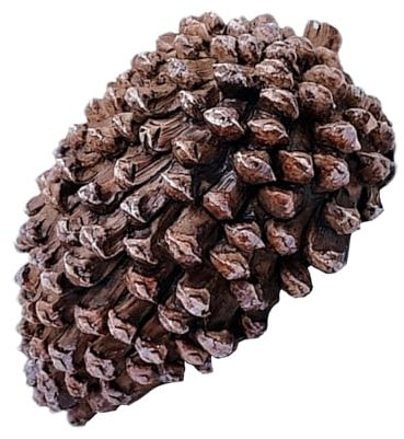 Generico Finta Pietra Con Scomparto Segreto Nascondi A Pigna In Resina Per Giardino, 135g, Camuffamento Naturale, Portatile, Regalo Per Amanti Piante (11.5x5.7cm)