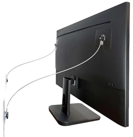 Frewurwer Correas de Acero Inoxidable para Muebles, Anclajes Sin Taladro, Correas Antisísmicas y Correas de Seguridad para TV, 6 Unidades, Color B