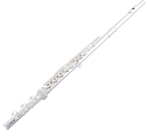 Querflöte Instrument Flöte Instrument 16 Offene Und Geschlossene Löcher Versilbert C-taste E-taste Anfänger Einstiegs-niveau Prüfung Leistung