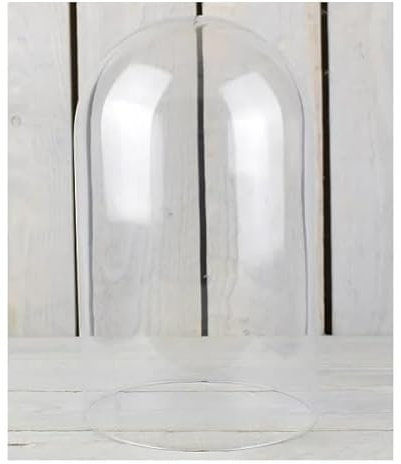 EMH Campana in vetro per esposizione a cupola, altezza: 28 cm x 18 cm