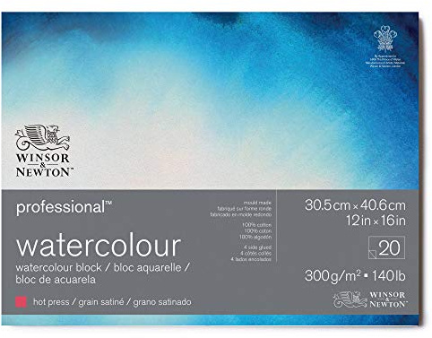 Winsor & Newton 6664008 Professional Aquarellpapier im Block - 20 Blatt 30,5 x 40,6cm, 300g/m², Satiniert, helles natürliches weißes Papier in archivierbarer Qualität, gilbbeständig