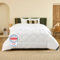 DREAMWAY - Edredón Cama 150 Entretiempo, Relleno Nórdico 220x240 cm de Fibra 300 gsm - Edredon Nordico Matrimonio Cama 135/150, Ligero, Suave, Transpirable para Otoño e Invierno, 240x220 cm