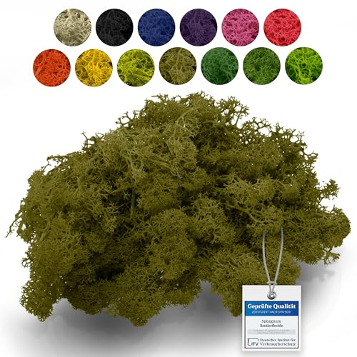 Sphagnum-Shop 200g Islandmoos Mediumgrün - Rentierflechte als Deko Moos | Konserviertes Naturmoos zum Basteln, für den Modellbau und Moosbilder - weich, farbecht und pflegefrei ohne Gießen