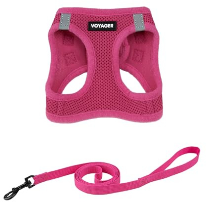 Best Pet Supplies Voyager Step-in-Air-Geschirr für Katzen, Allwetter-Netzgewebe, Step-in-Weste, Geschirr für kleine und große Katzen, Fuchsia, XXXS (Brustumfang 27,9–30,5 cm) | 30,5 - 34,3 cm in der Brust, reflektierende Bänder, atmungsaktives Luftnetz, kompatibel mit Katzen, schnell trocknend