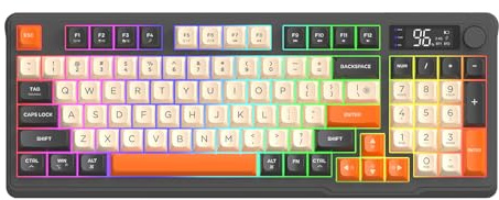 Lancoon uppladdningsbart trådlöst tangentbord med dubbla lägen 96 tangenter färgglatt ljus multimedia shorts volymkontroll batteriindikator hållbar för gaming PC bärbar dator