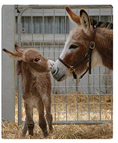 YISUMEI Decke Neugeborenes Esel Fohlen Kuscheldecken Weich Flanell Fleecedecke Bettüberwurf(150x200cm)