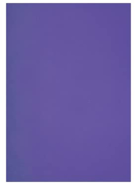 BIGO Präsentationsmappen DIN A4, 10er-Pack, 240 g/m², Kornblumenblau | Dokumentenmappen aus Karton mit 3 Innenklappen, Stabile Mappen für Angebote, Projekte & Geschäftsberichte