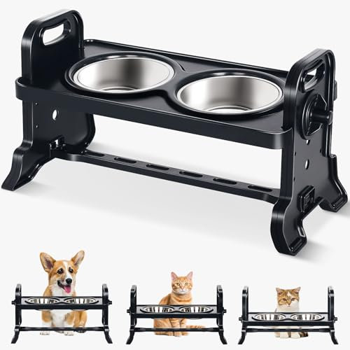 Petslucent Cat Bowls Dog Bowls: Adjustable Cat Food Bowls Pet Bowls - Easy to Clean & Non-Slip Silicone Mat Cat Feeder - Stand Anti Vomiting with 2 Stainless Steel Bowls for Cats and Puppy