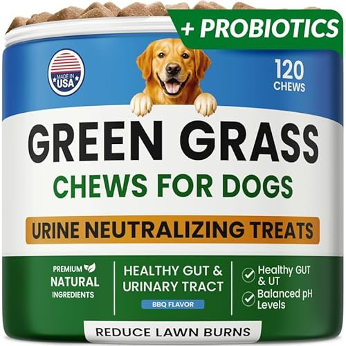 PAWFECTCHEW Masticables para orina de perro, tratamiento de hierba para orina de mascotas, neutralizador para manchas de orina de hierba verde, masticables de césped verde para perros con probióticos
