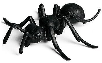 HEMOTON 1 Satz Ergate Dekoration Modell Der Wachstumsphase Mini-Spielzeug Spielzeuge Lebenszyklusmodell Tiere Spielzeug Kidcraft-spielset Mini-Figur Miniaturen Ameise Schmücken Kind