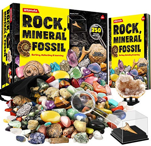 Dr. Daz Rock Fossil Mineral Collection Activity Kit Includes 250+ Real Specimens Ultimate Display Case Fossils Gems Rocks Genuine Minerals for Kids Great Science Gift for Boys Girls