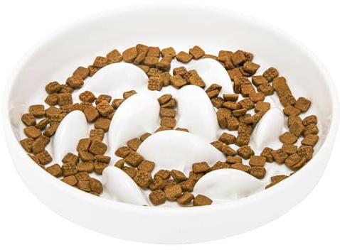 GUWINA Ciotola Anti Ingozzamento Gatto Ceramica per Gatti e Cani Piccoli, 16 cm Largo Ciotola Gatto Anti Ingozzamento Poco Profonda per Cibo Secco e Umido, Lavabile in Lavastoviglie (Bianco)​