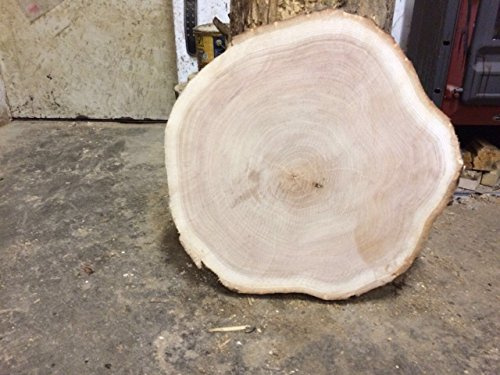 KJR Holzmanufaktur Baumscheibe, Holzscheibe,ca.50 x 3 cm, basteln, Holz,Roteiche