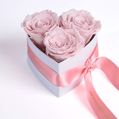 Infinity Rosenbox Herz - 3 echte rosa Rosen konserviert haltbar 3 Jahre 10x12cm - Seni Seviyorum hediye besondere Geschenke für Frau Liebesbeweis Rosemarie Schulz Heidelberg (Seni Seviyorum, Rosa)