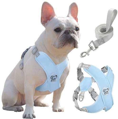 Pawaboo Set med liten hundsele och koppel, valpsele X-ram inget drag ingen kvävning, hundväst sele justerbar för små medelstora hundar, mjuk andningsbar husdjursele för promenader utflykt (L, blå)