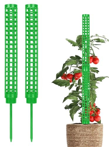 Supporto per piante rampicanti – Pali di muschio splicable traspiranti | Bastone di supporto per la crescita delle piante | Attrezzi da giardinaggio portatili | Pali di muschio pieghevoli per esterni