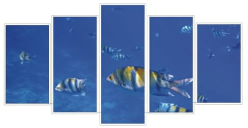 RAABEC Polyptychon Alurahmen Weiß 132 x 72 cm für Malen nach Zahlen | Fertig montiert, mit Rückwand, ideal für Malen nach Zahlen Bilder z.B. von Schipper, ohne Glas