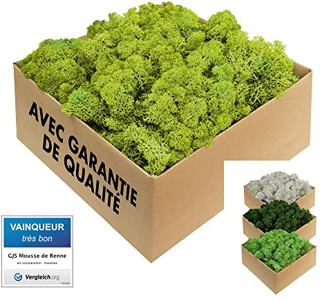 GJS Musgo islandés Natural conservado – auténtico Musgo Decorativo en 200g/500g/1kg/4kg para Cuadros, Manualidades, decoración y terrarios (Verde, 500.0, Gramos)