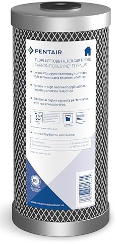 Pentair Pentek FloPlus-10BB Big Blue 10-Inch Carbon Block Water Filter