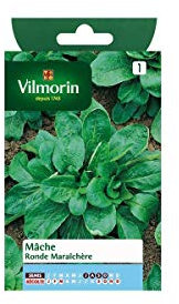 Mâche Ronde Maraîchère + échantillon Agathe