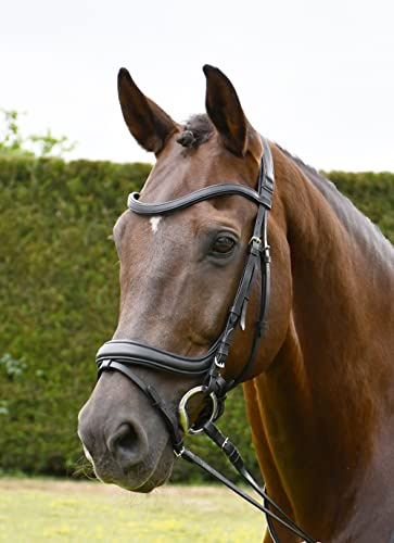 Rhinegold R175-XF-BLK Softee Pro-Anatomic Flash Trensenzaum-Extra Full Black, Schwarz, Kaltblut/Warmblut extragroß