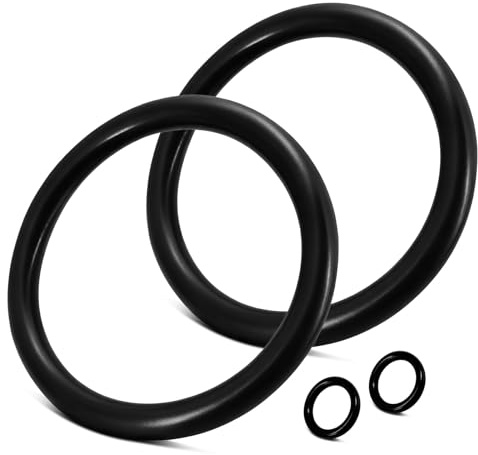 Dichtungen für Grünbeck Wasserfilter - Dichtungssatz für Grünbeck Geno Feinfilter FS 1/FSD 1, Wasserfilter Einsätze O-Ring für Filter Wartung Zubehör, Hauswasserfilter Ersatz Set, Nr.:100001 (4 Stk)