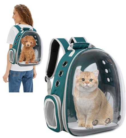 PETCUTE Kattryggsäck, expanderbar bärryggsäck för kattkapsel, transparent bubbelbärare för husdjur frampack med 9 ventilationshål andas, för katt hund utomhusvandring och resande grön
